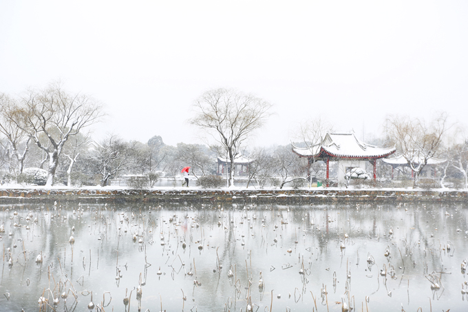 江南雪韻(金衛(wèi)國(guó)攝影).JPG