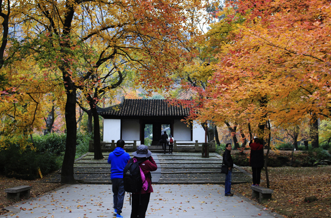 秋韻中國(guó)2(王云平攝影).JPG